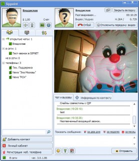 Видеозвонок   Работа с интернет телефонией на примере SIPNET