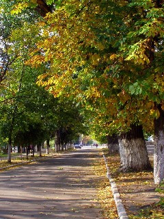 Улица Пионерская   Торез