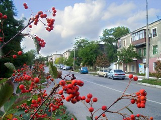 Проспект Гагарина Торез