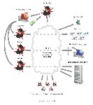 Что  такое DoS  Ddos  и с чем его едят